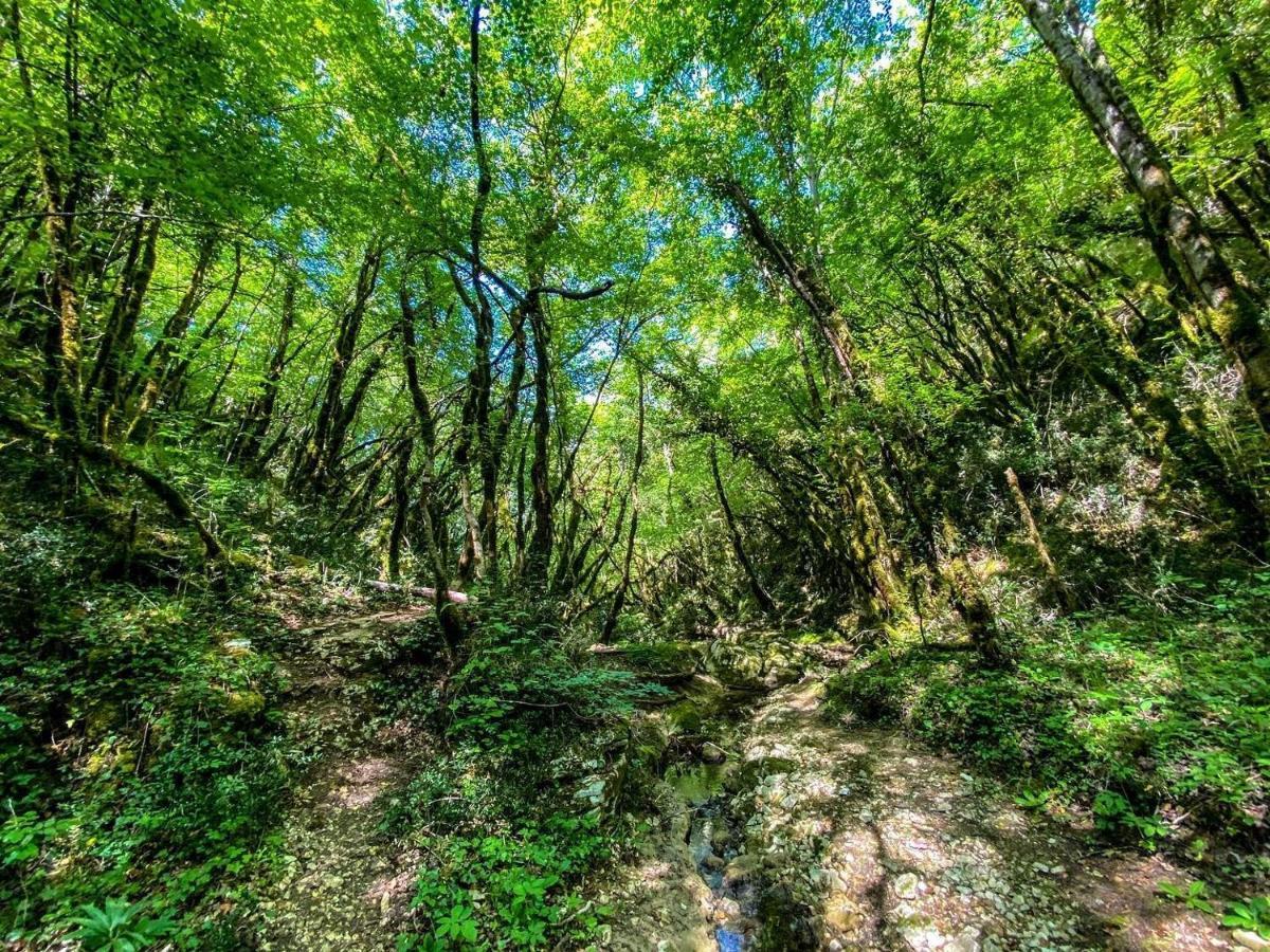 Apartment Agava Istria - Family Vacation Rental With Free Parking, Garden, Wifi Ližnjan Eksteriør bilde