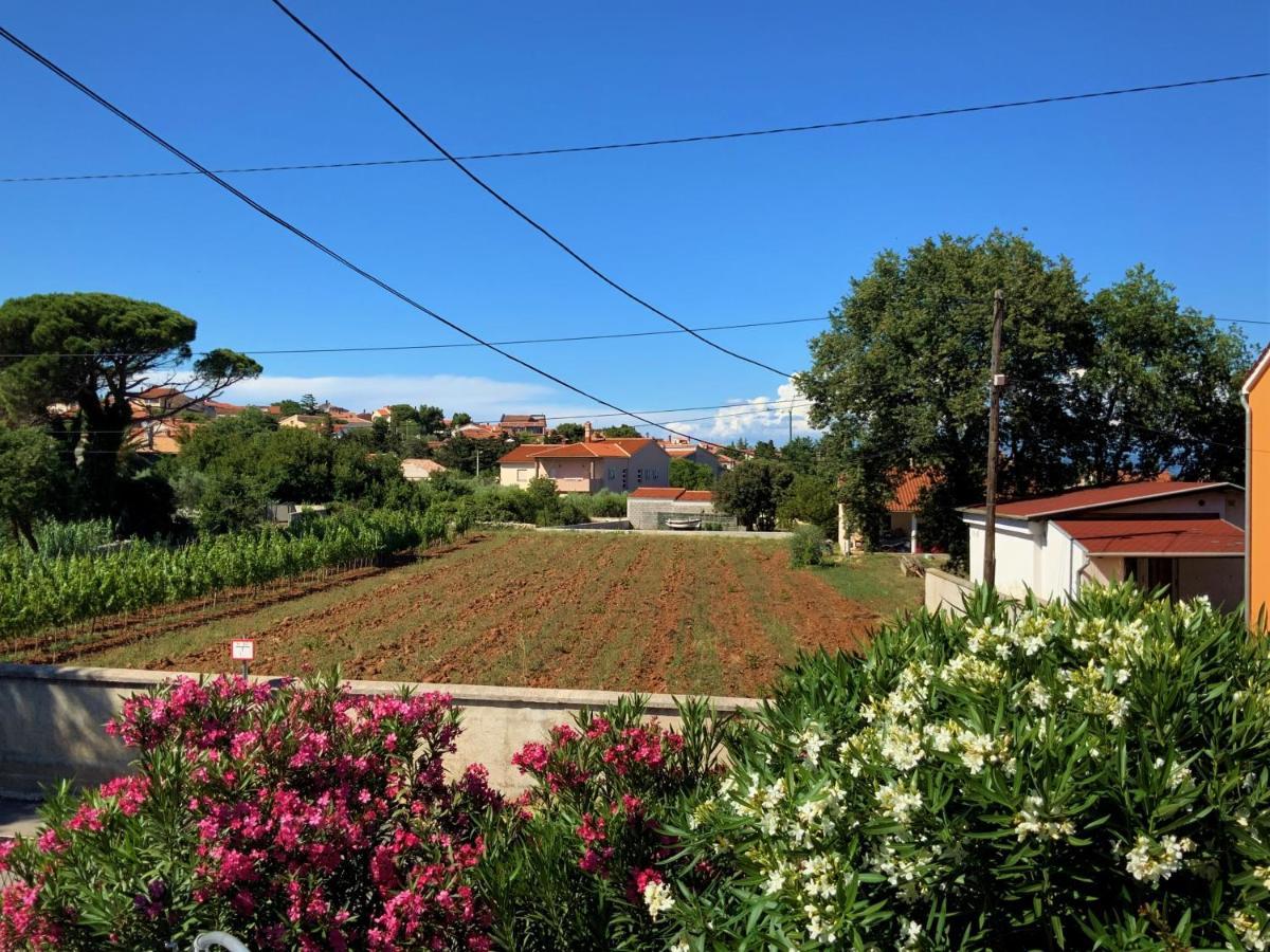 Apartment Agava Istria - Family Vacation Rental With Free Parking, Garden, Wifi Ližnjan Eksteriør bilde