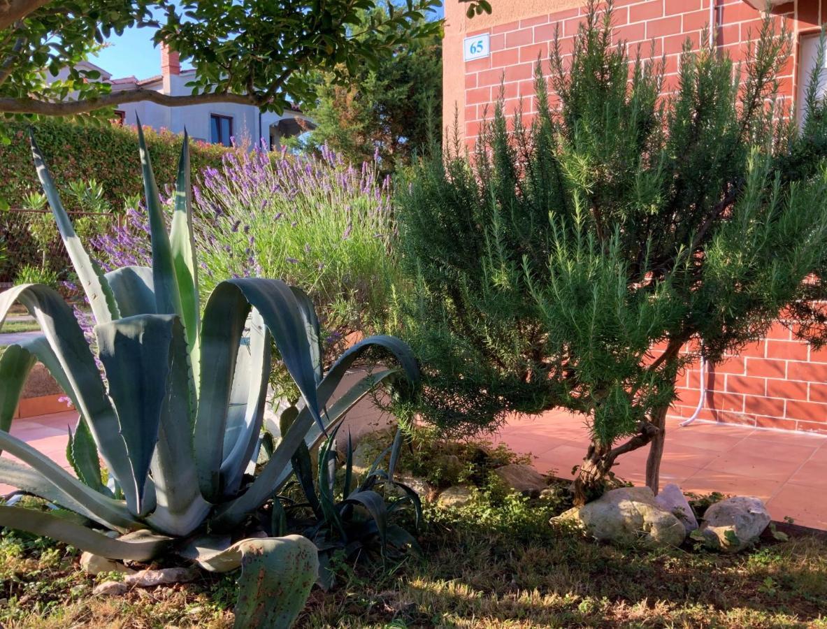 Apartment Agava Istria - Family Vacation Rental With Free Parking, Garden, Wifi Ližnjan Eksteriør bilde