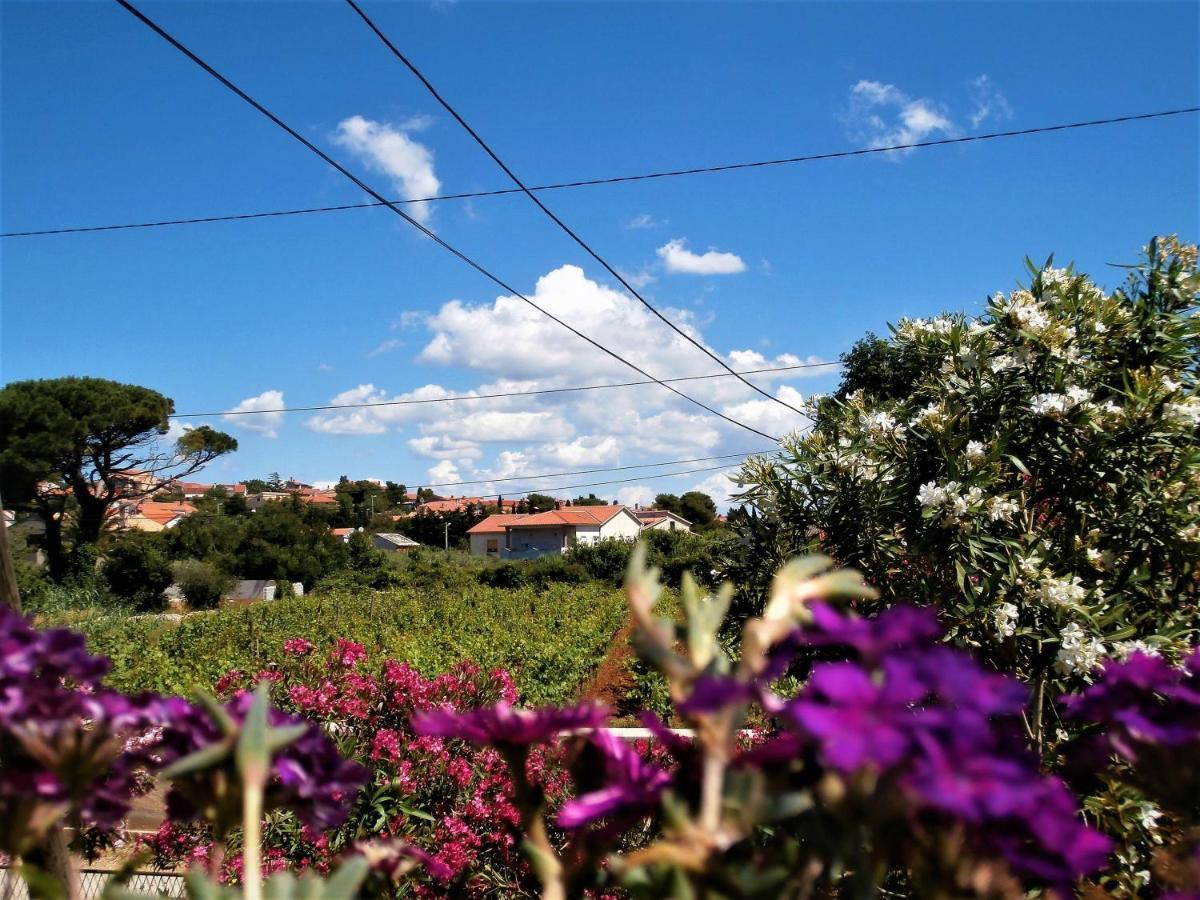 Apartment Agava Istria - Family Vacation Rental With Free Parking, Garden, Wifi Ližnjan Eksteriør bilde