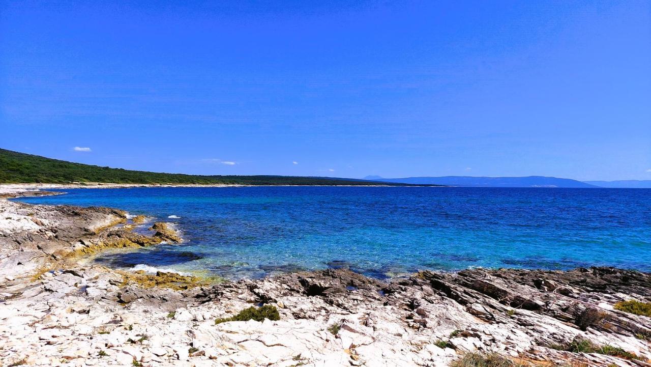 Apartment Agava Istria - Family Vacation Rental With Free Parking, Garden, Wifi Ližnjan Eksteriør bilde