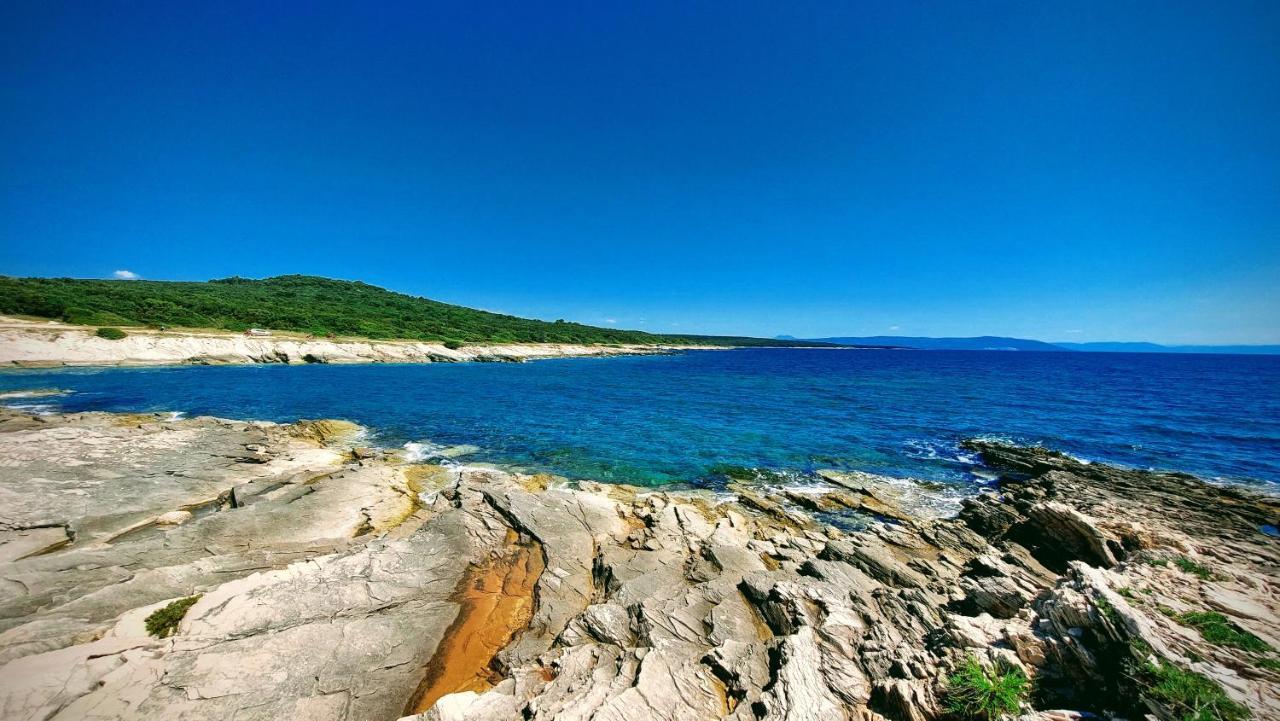 Apartment Agava Istria - Family Vacation Rental With Free Parking, Garden, Wifi Ližnjan Eksteriør bilde