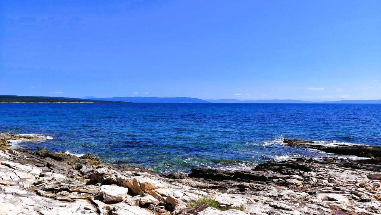 Apartment Agava Istria - Family Vacation Rental With Free Parking, Garden, Wifi Ližnjan Eksteriør bilde