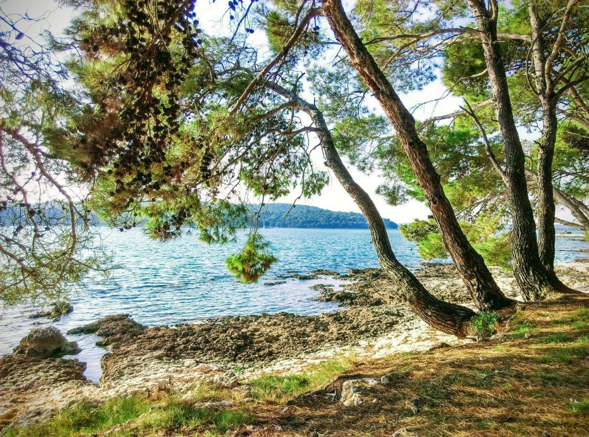 Apartment Agava Istria - Family Vacation Rental With Free Parking, Garden, Wifi Ližnjan Eksteriør bilde